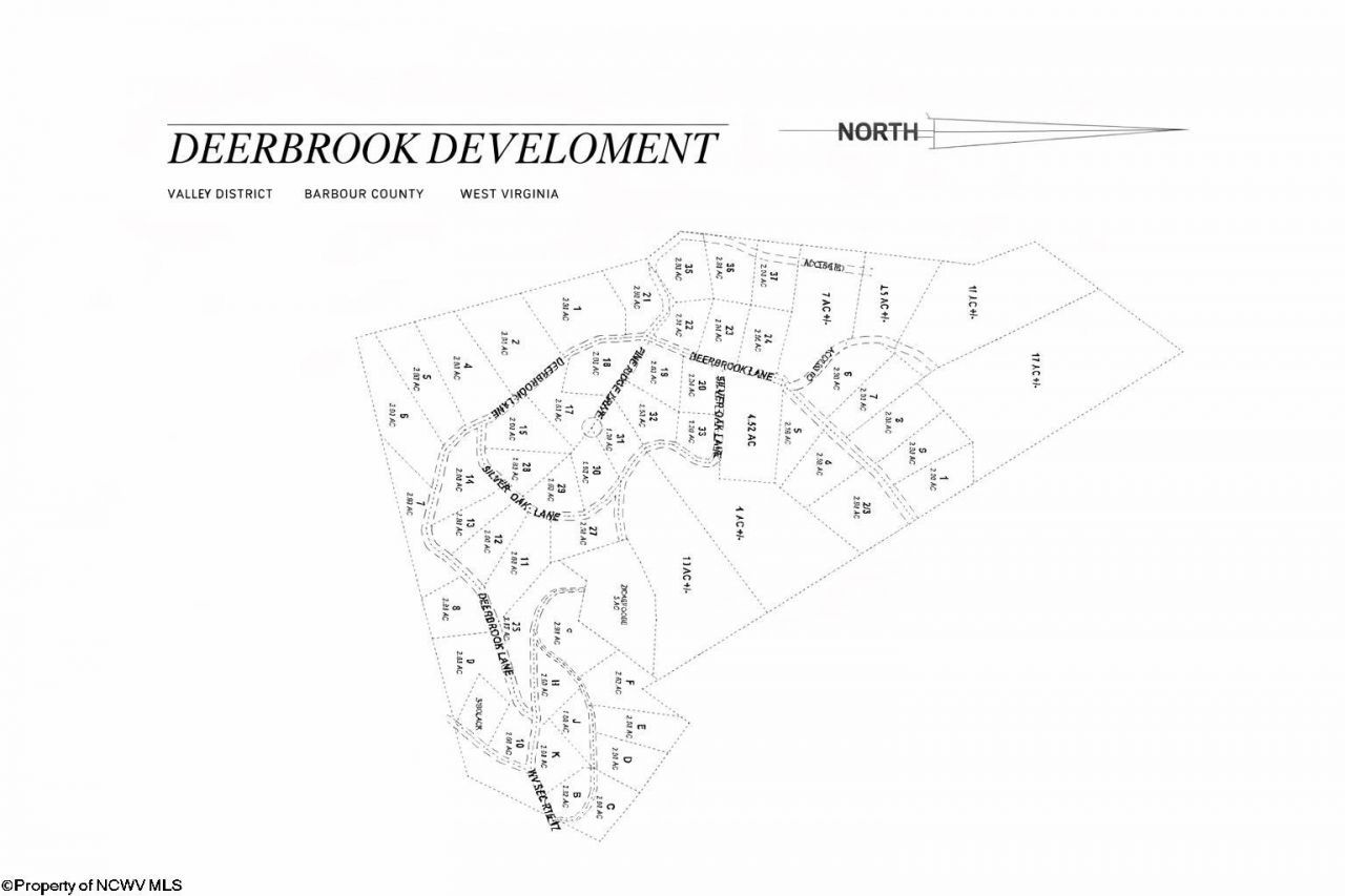 Lot 4 Deerbrook Estates, Belington, WV 26250 Main Photo