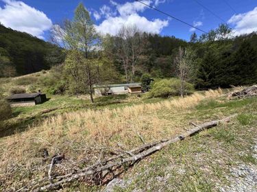 601 Shaw Hallow Road, Wallace, WV 26448