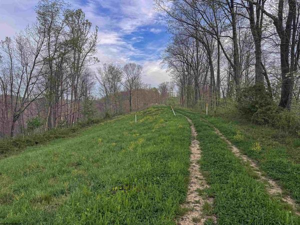 Lot 1 Low Gap Run Road, Littleton, WV 26581