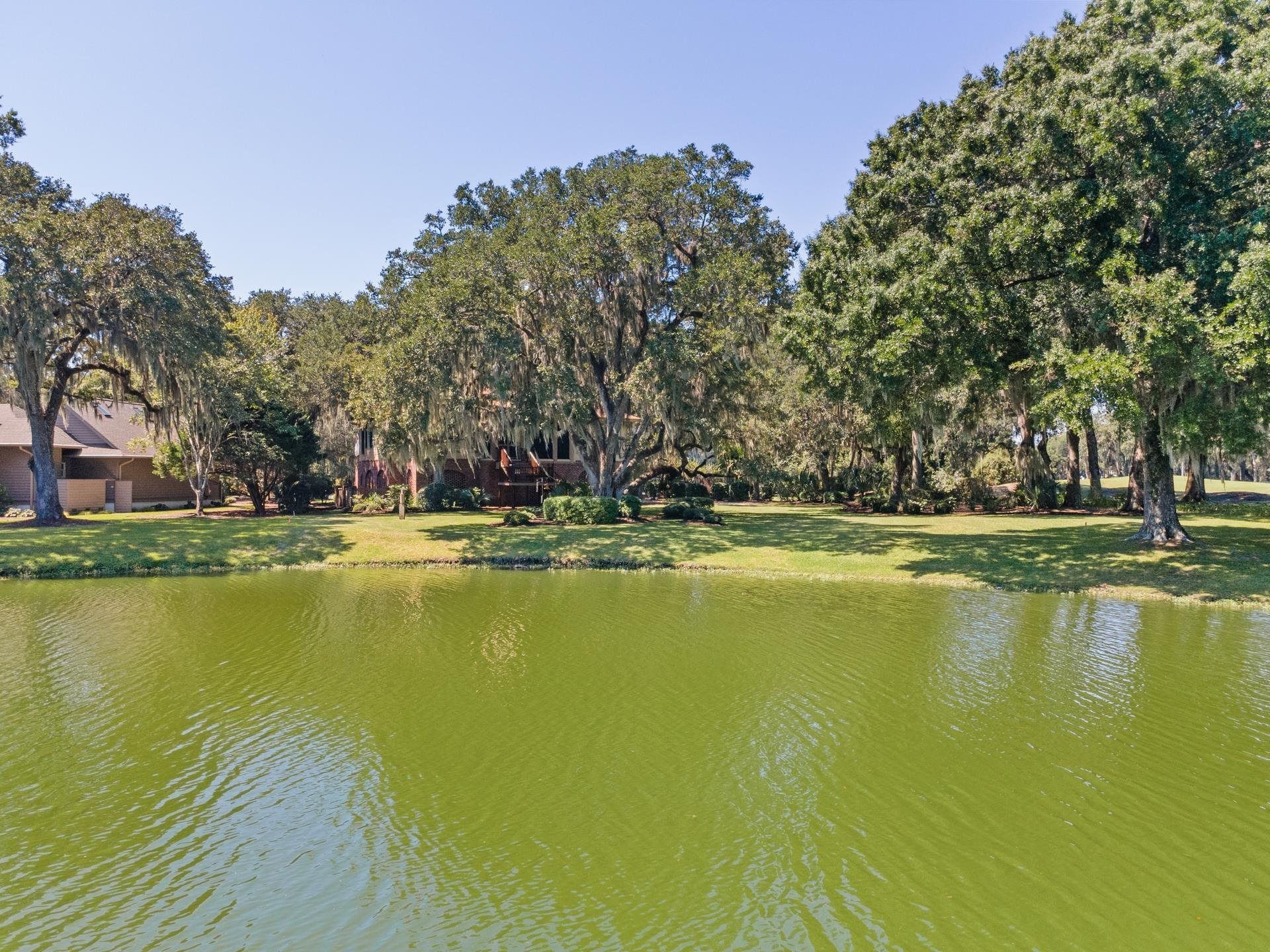 227 Summerwood Dr. Photo 43