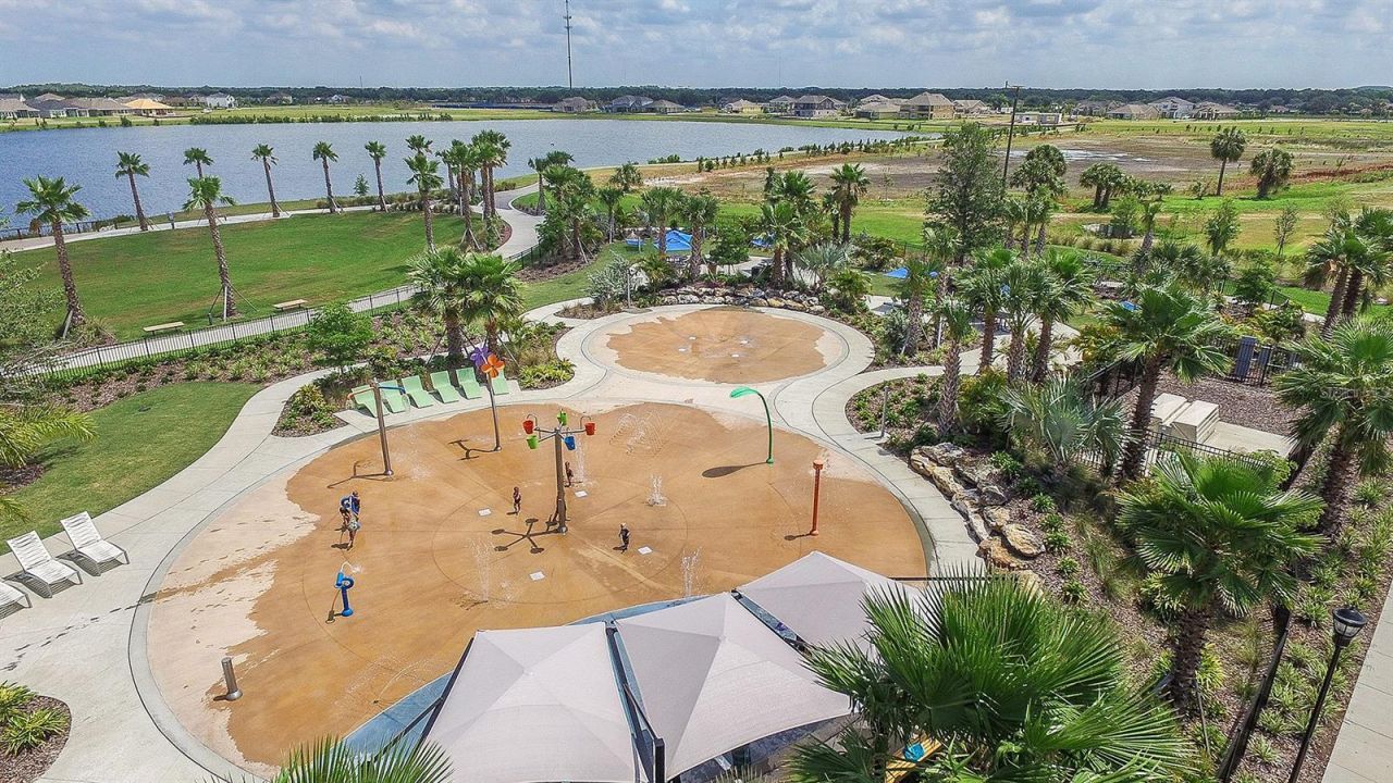 5139 Spring Maiden Circle, Apollo Beach, FL 33572 Photo