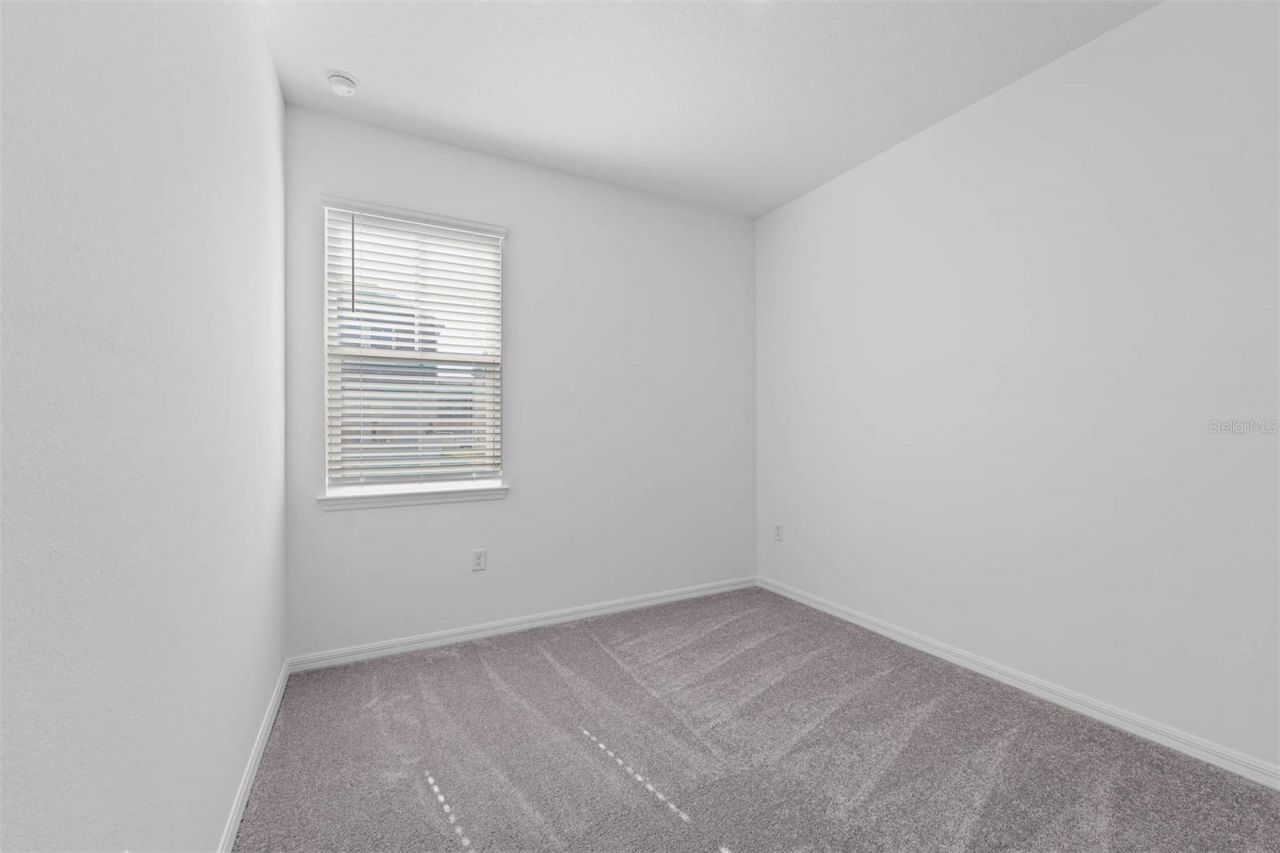 4678 Inner World Lane, Wesley Chapel, FL 33543 Photo