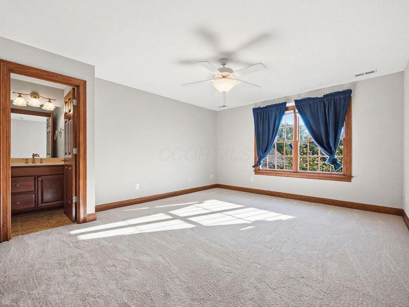 7225 Drucilla Street, Pickerington, OH 43147 Photo 50