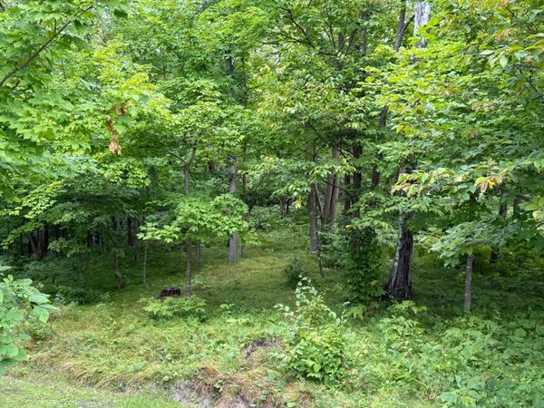 14888 Eaglewood Drive, Detroit Lakes, MN 56501