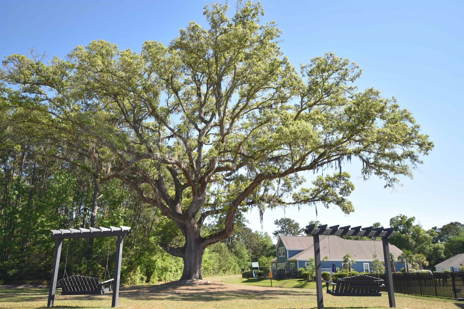 385 Castaway Key Dr.  Photo 37