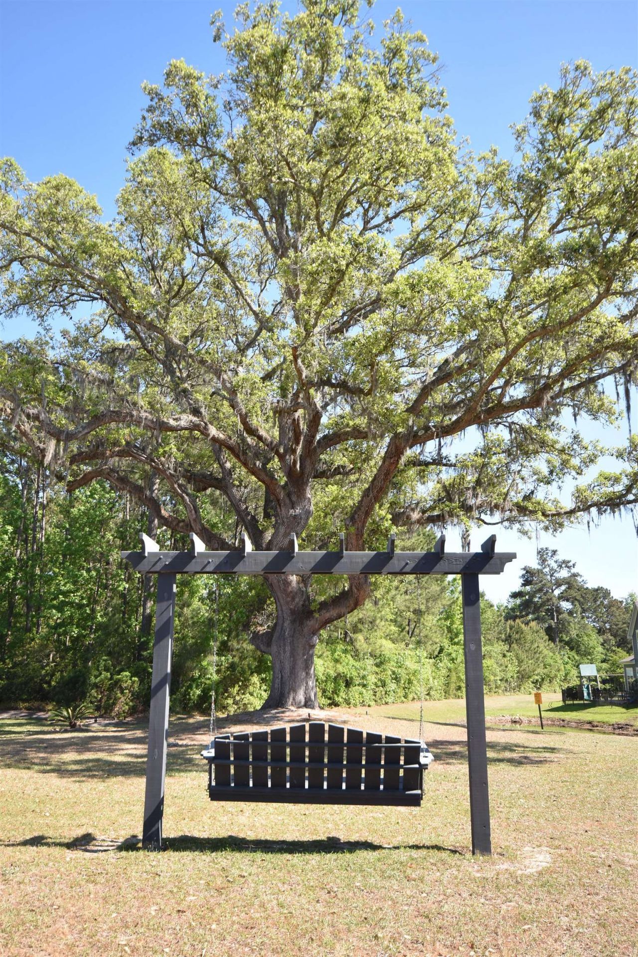 385 Castaway Key Dr.  Photo 38