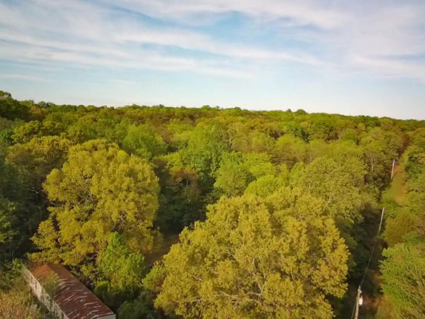 1315 Penn Hollow RD, Moneta, VA 24121