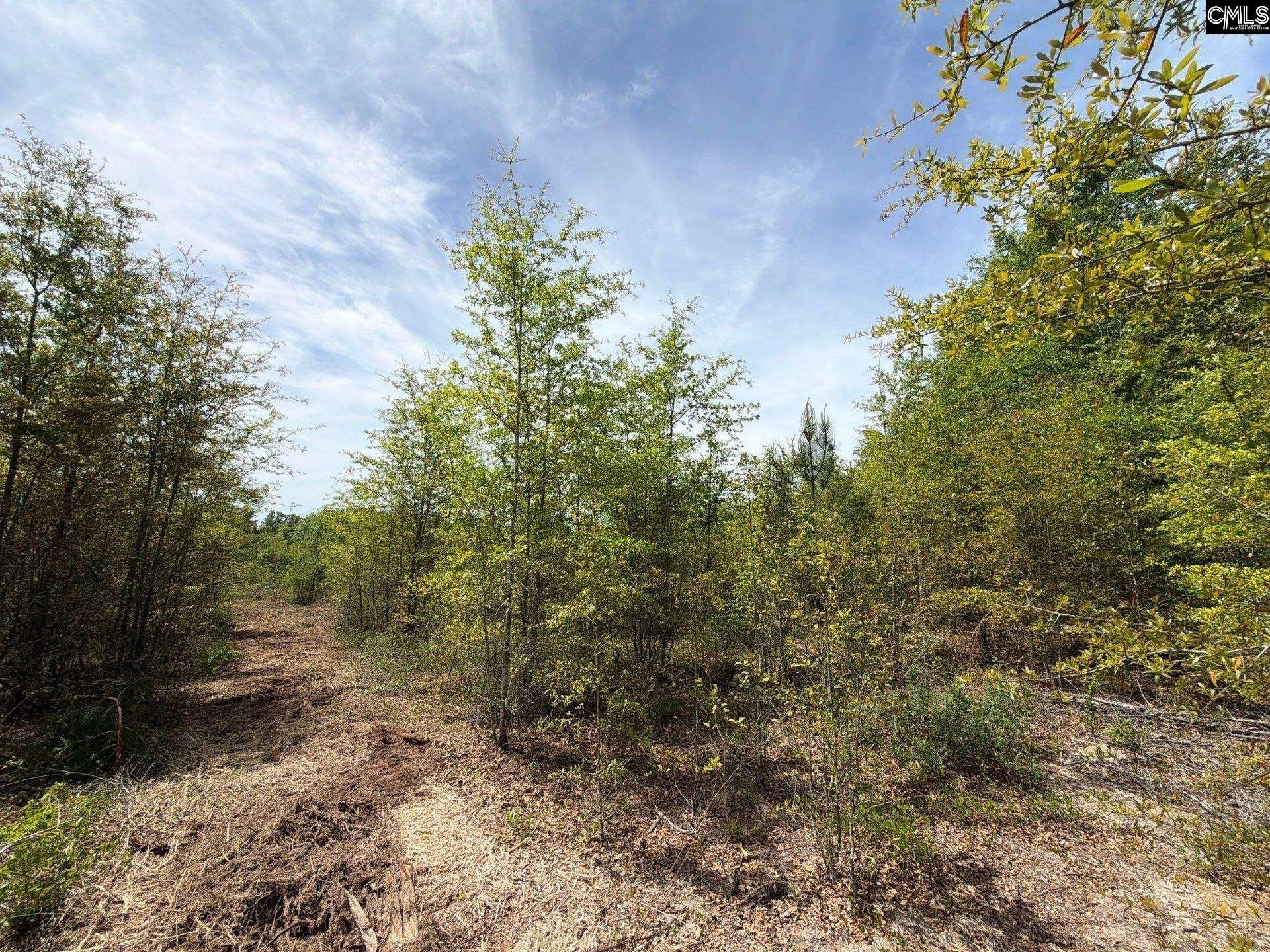 Rrf 6 Rogers Cemetery Road  Photo 11