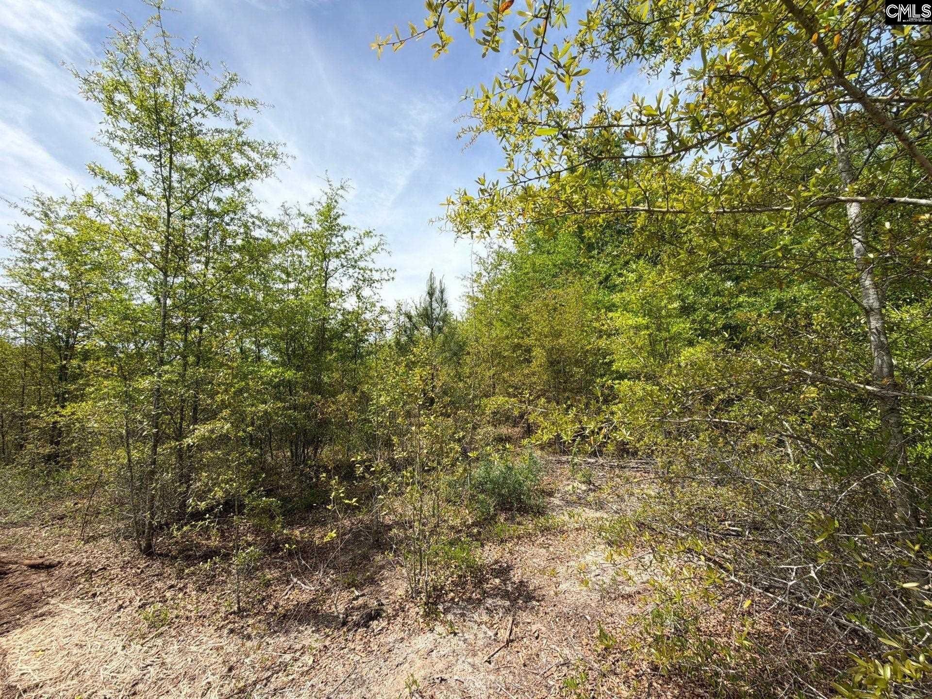 Rrf 6 Rogers Cemetery Road  Photo 12