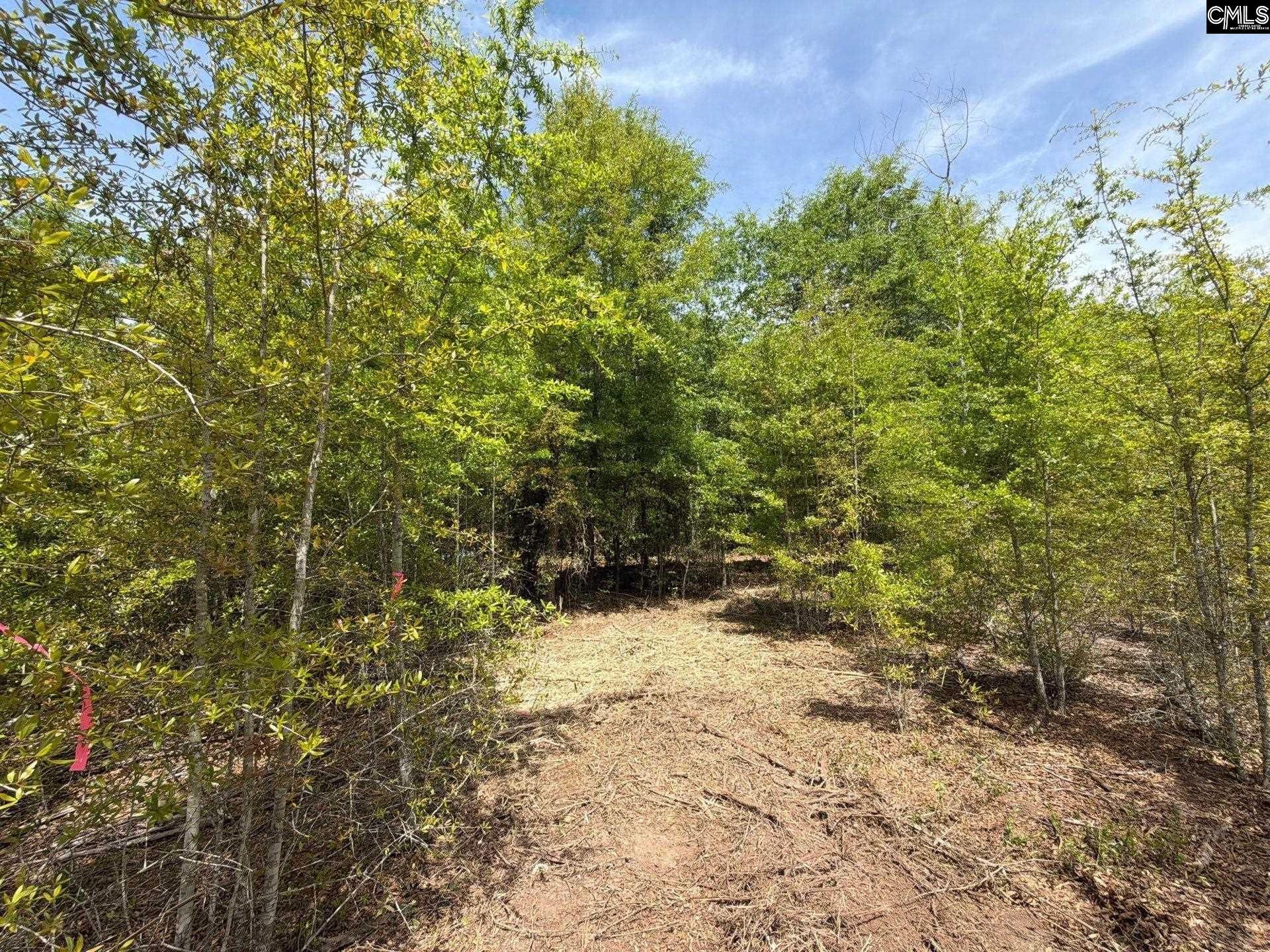 Rrf 6 Rogers Cemetery Road  Photo 13