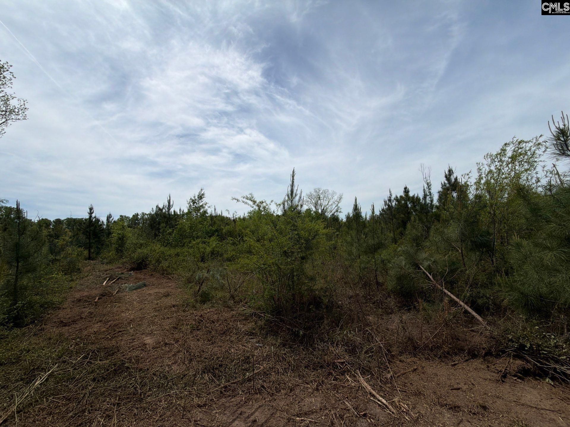 Rrf 6 Rogers Cemetery Road  Photo 14