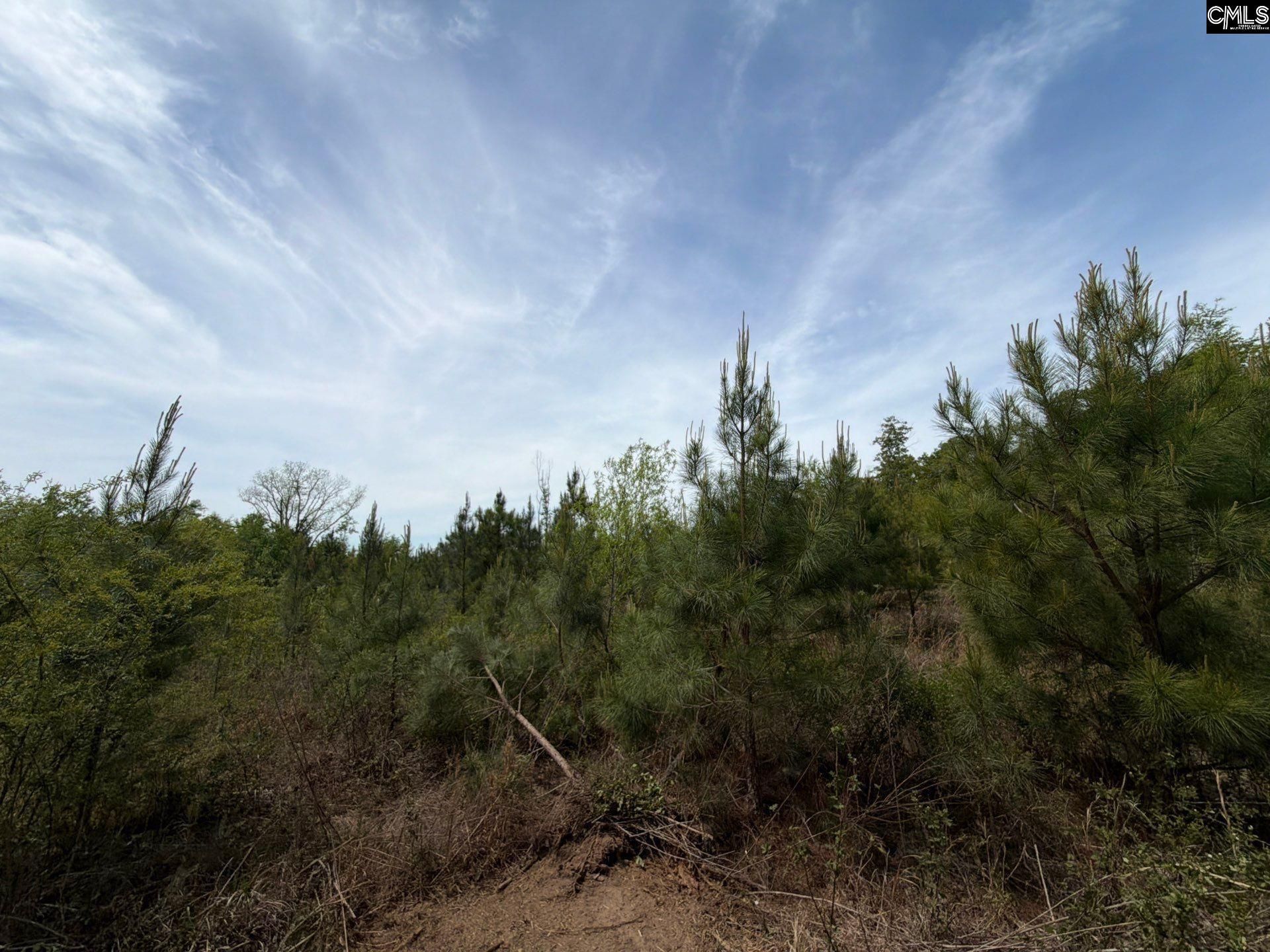 Rrf 6 Rogers Cemetery Road  Photo 15