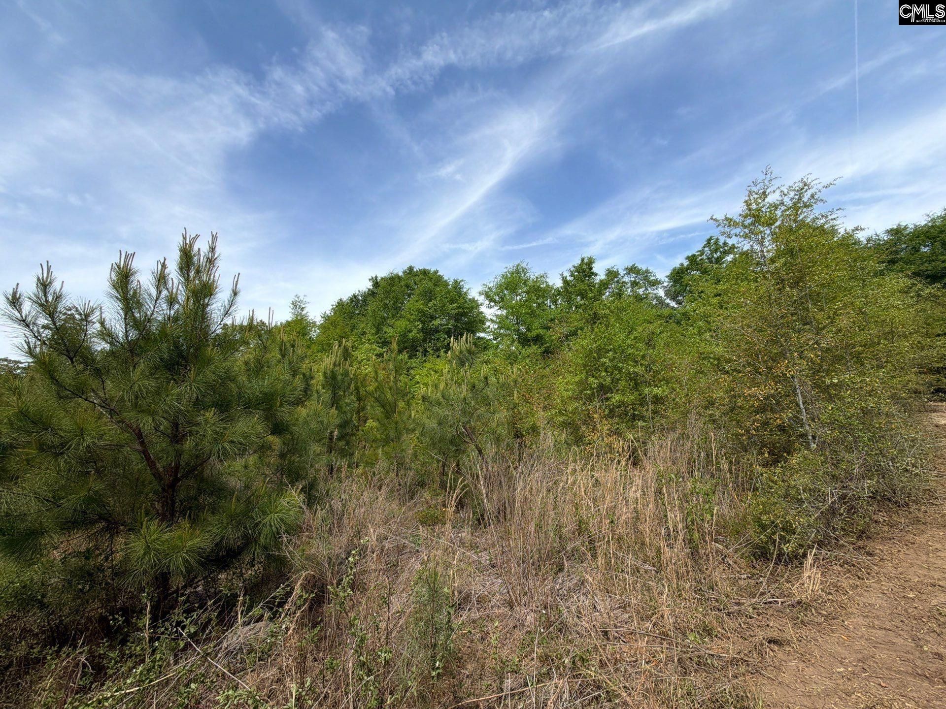 Rrf 6 Rogers Cemetery Road  Photo 16