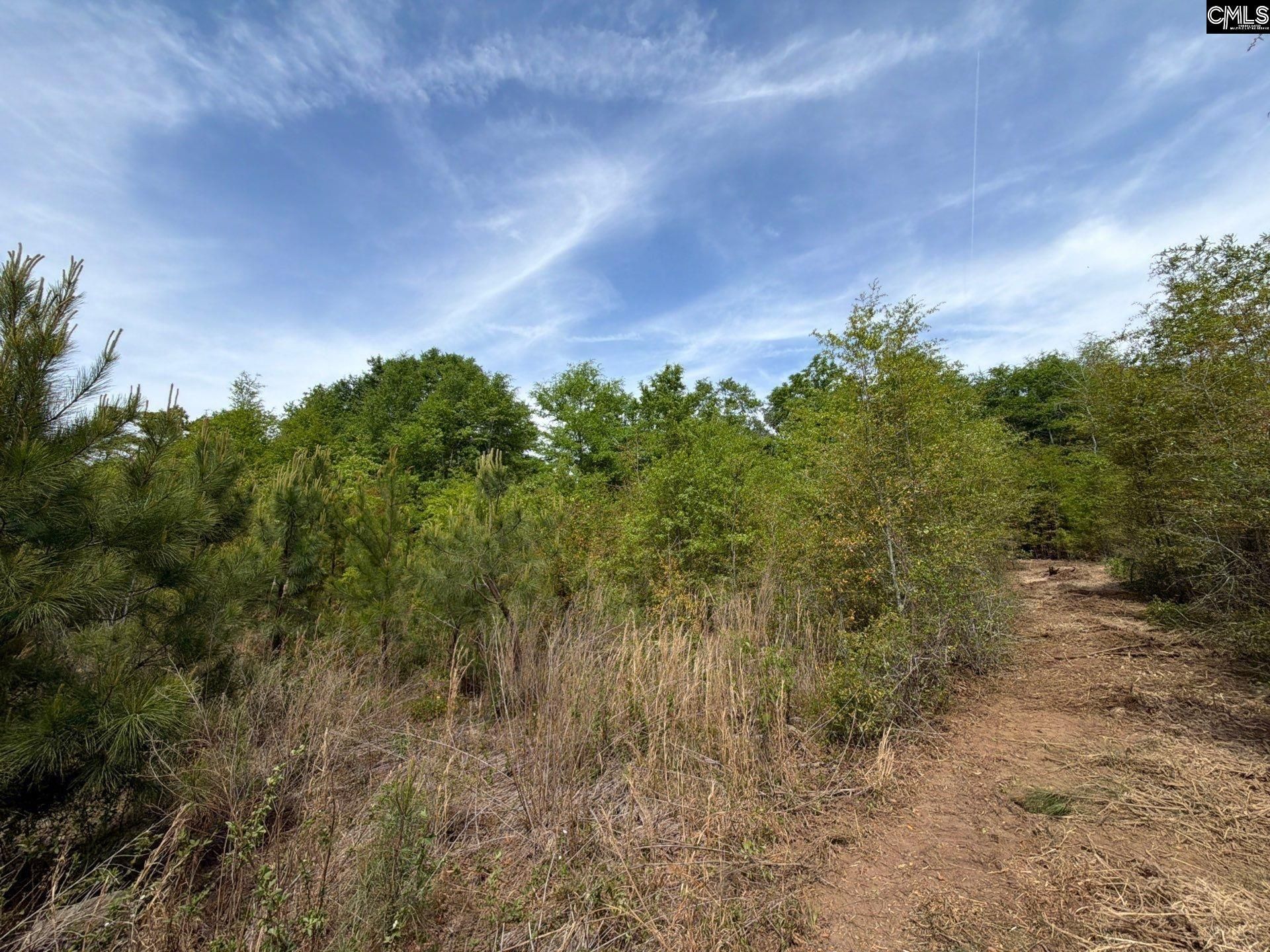 Rrf 6 Rogers Cemetery Road  Photo 17