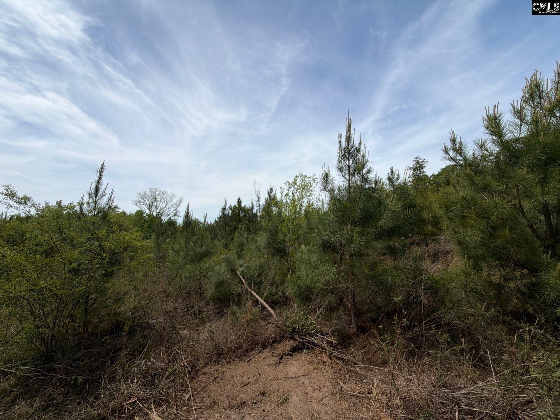 Rrf 6 Rogers Cemetery Road  Photo 18