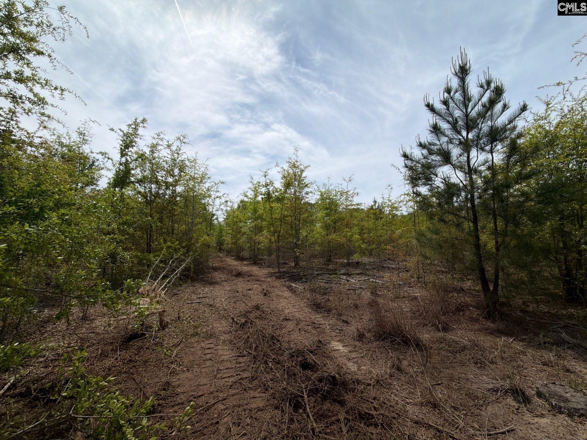 Rrf 6 Rogers Cemetery Road  Photo 19