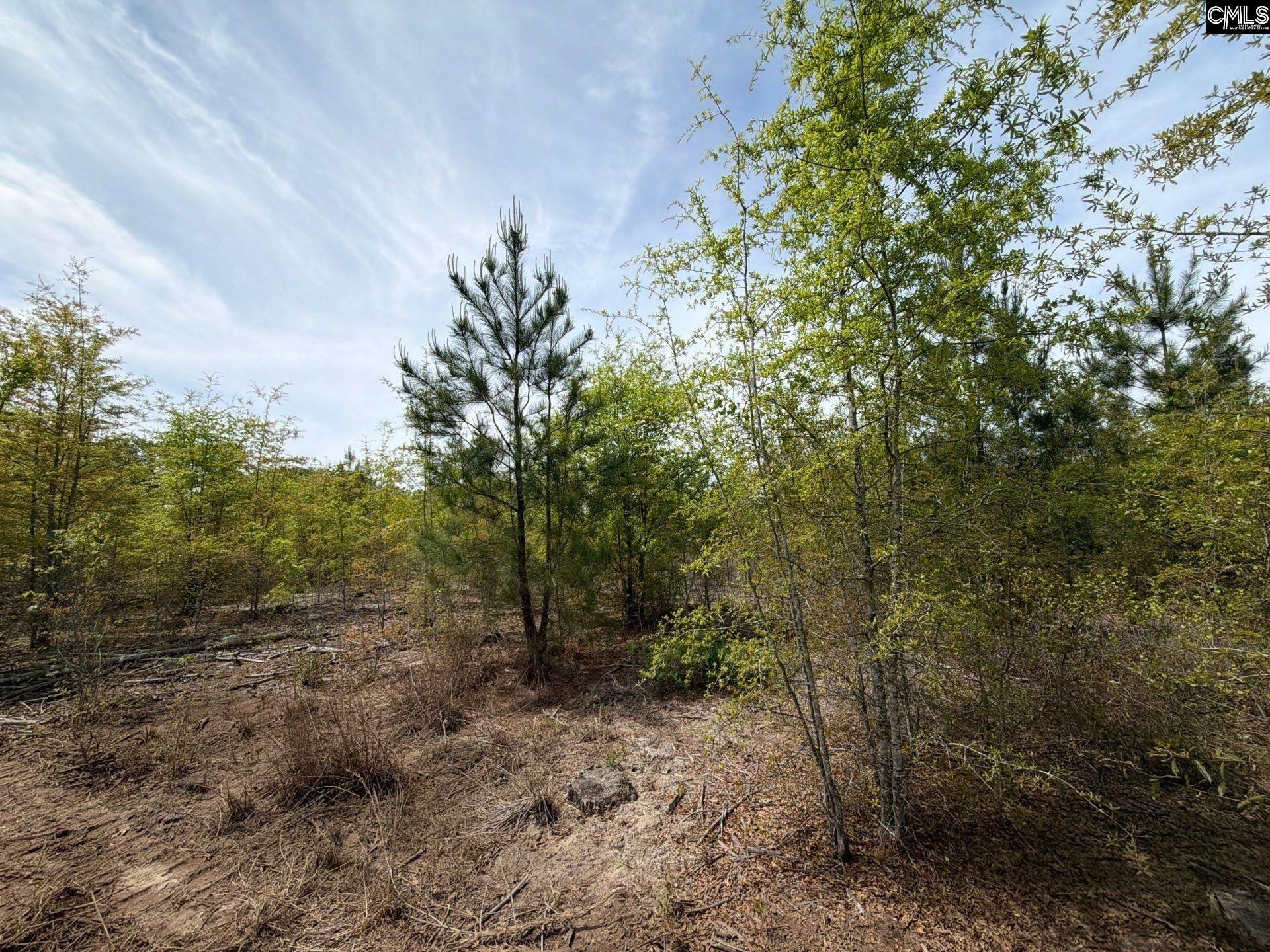 Rrf 6 Rogers Cemetery Road  Photo 20