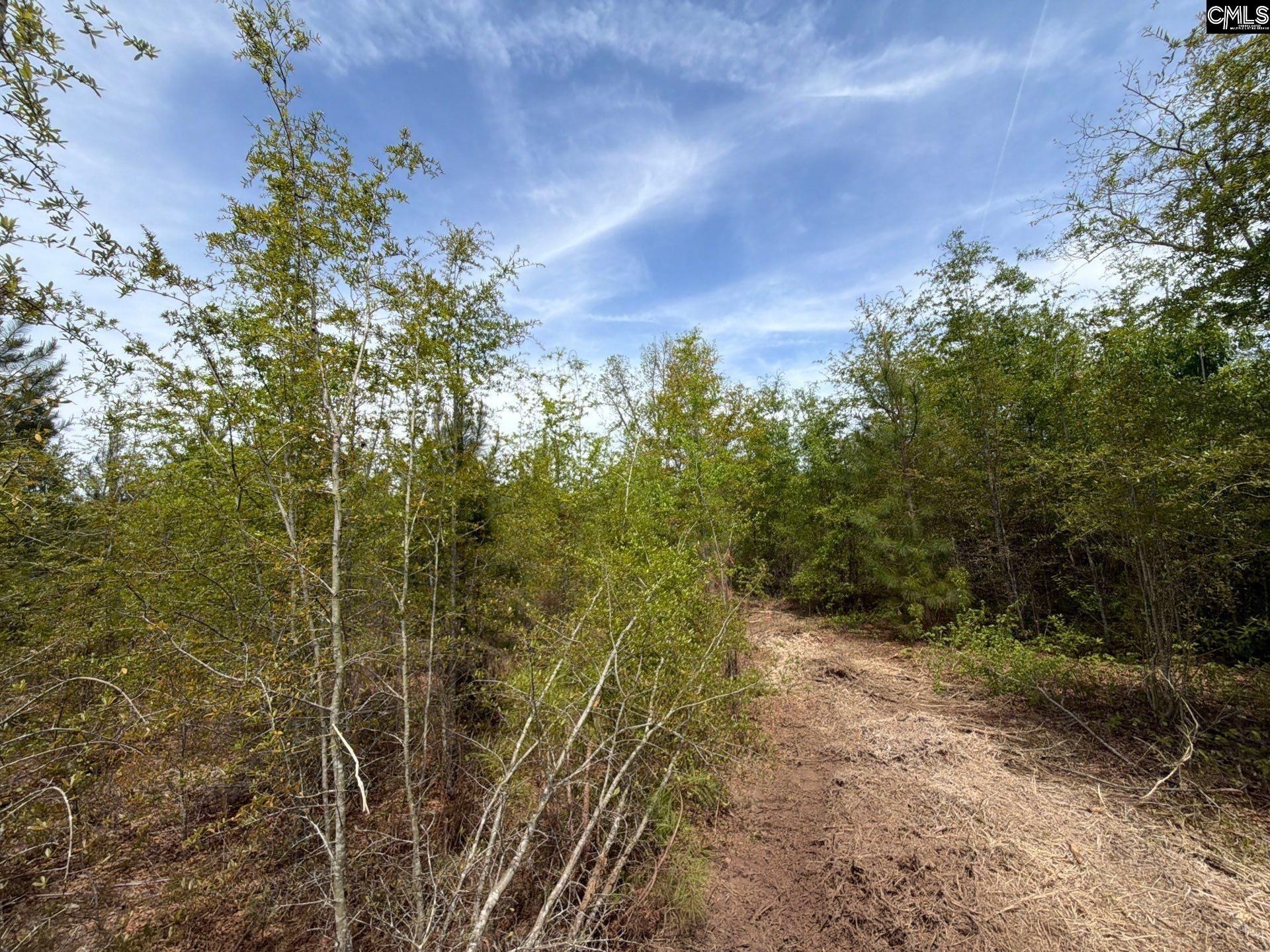 Rrf 6 Rogers Cemetery Road  Photo 21