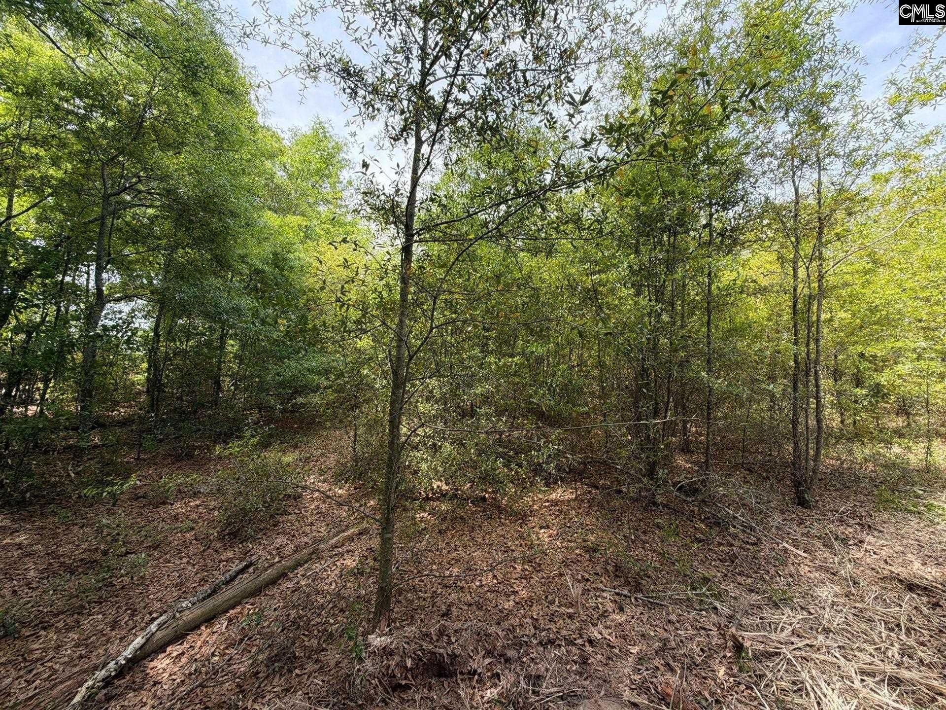 Rrf 6 Rogers Cemetery Road  Photo 22