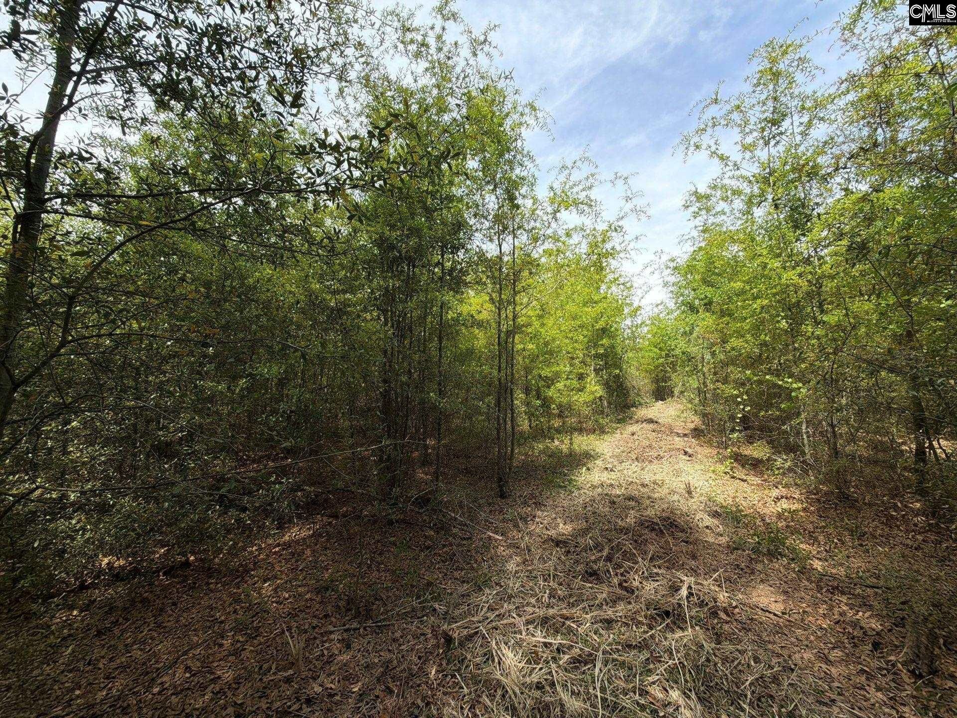 Rrf 6 Rogers Cemetery Road  Photo 23