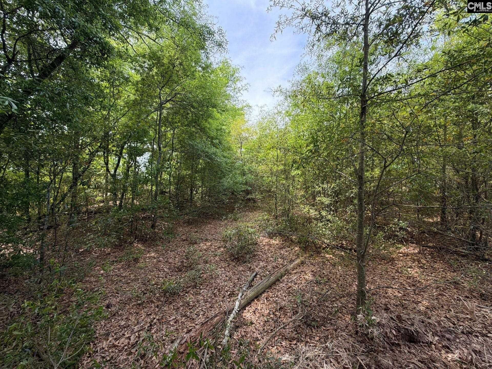 Rrf 6 Rogers Cemetery Road  Photo 24