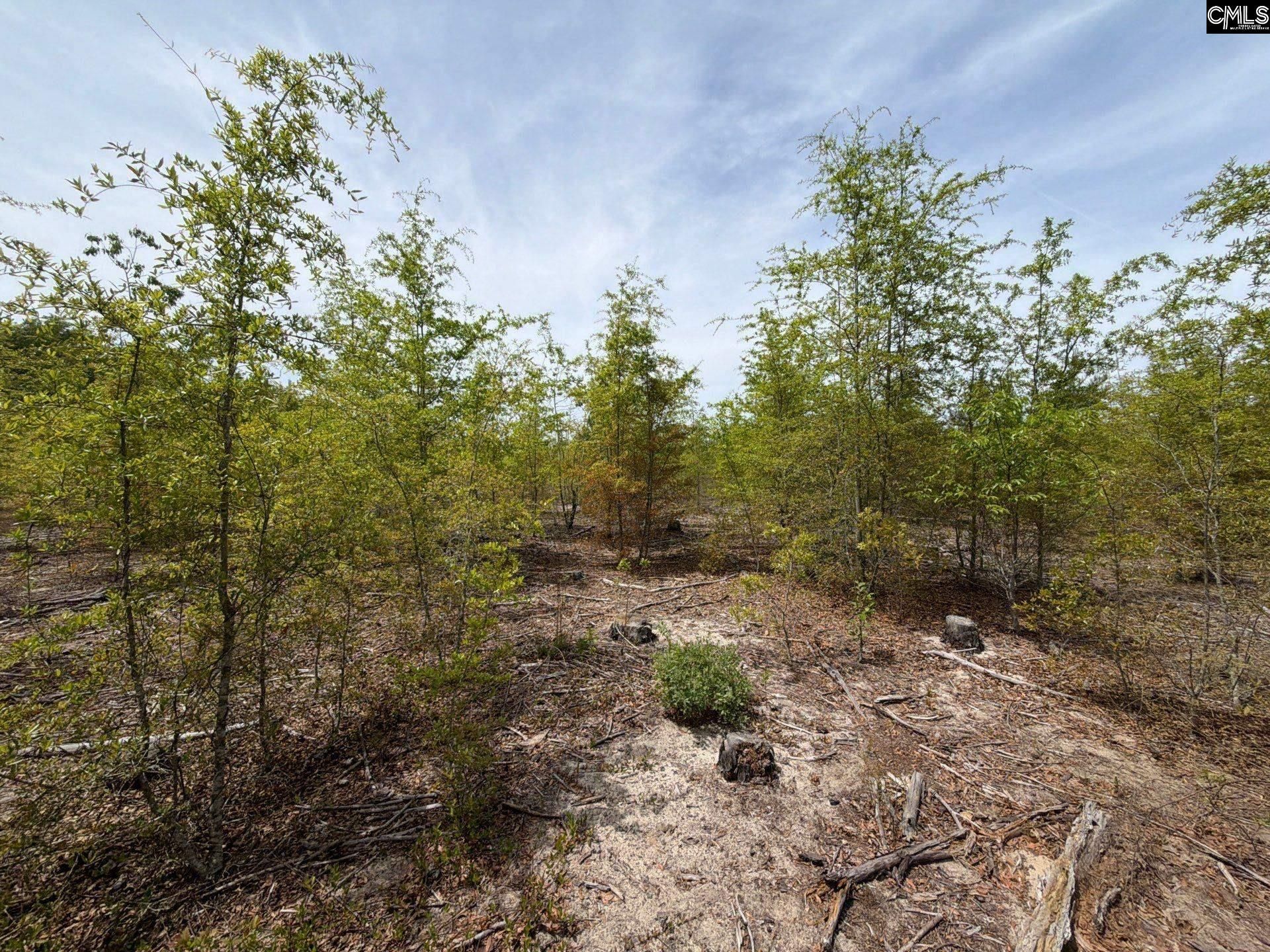 Rrf 6 Rogers Cemetery Road  Photo 25