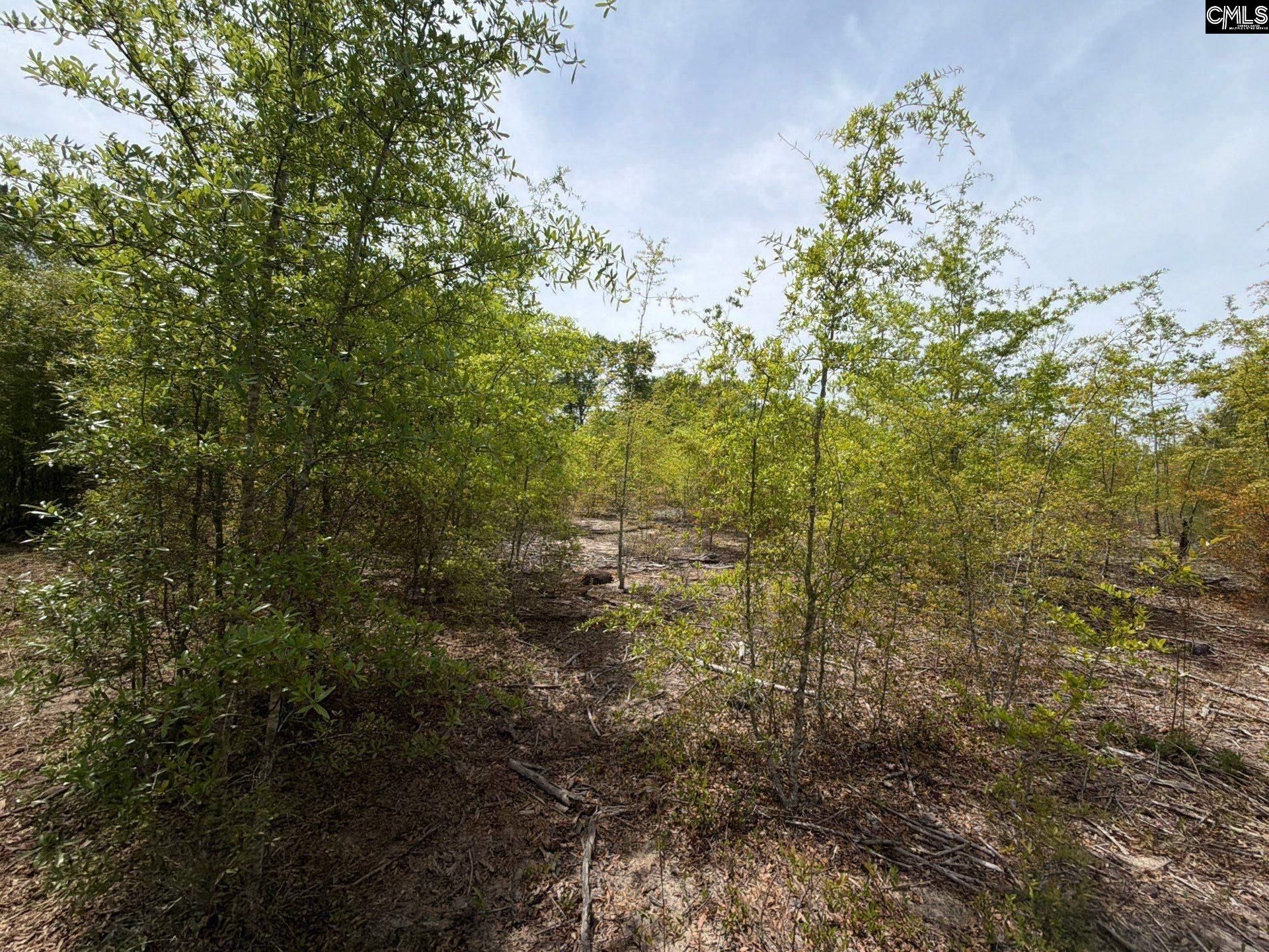 Rrf 6 Rogers Cemetery Road  Photo 26