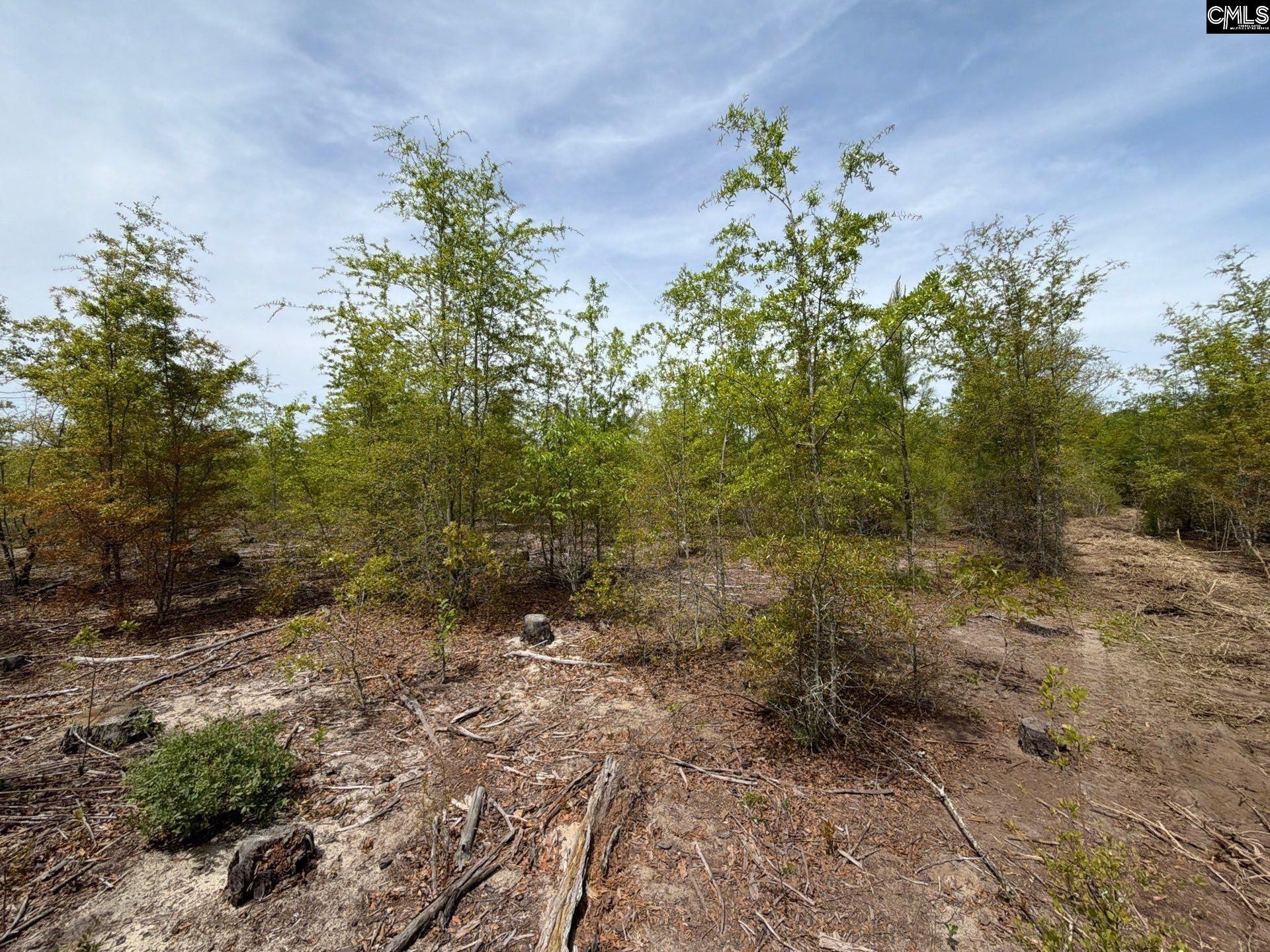 Rrf 6 Rogers Cemetery Road  Photo 27