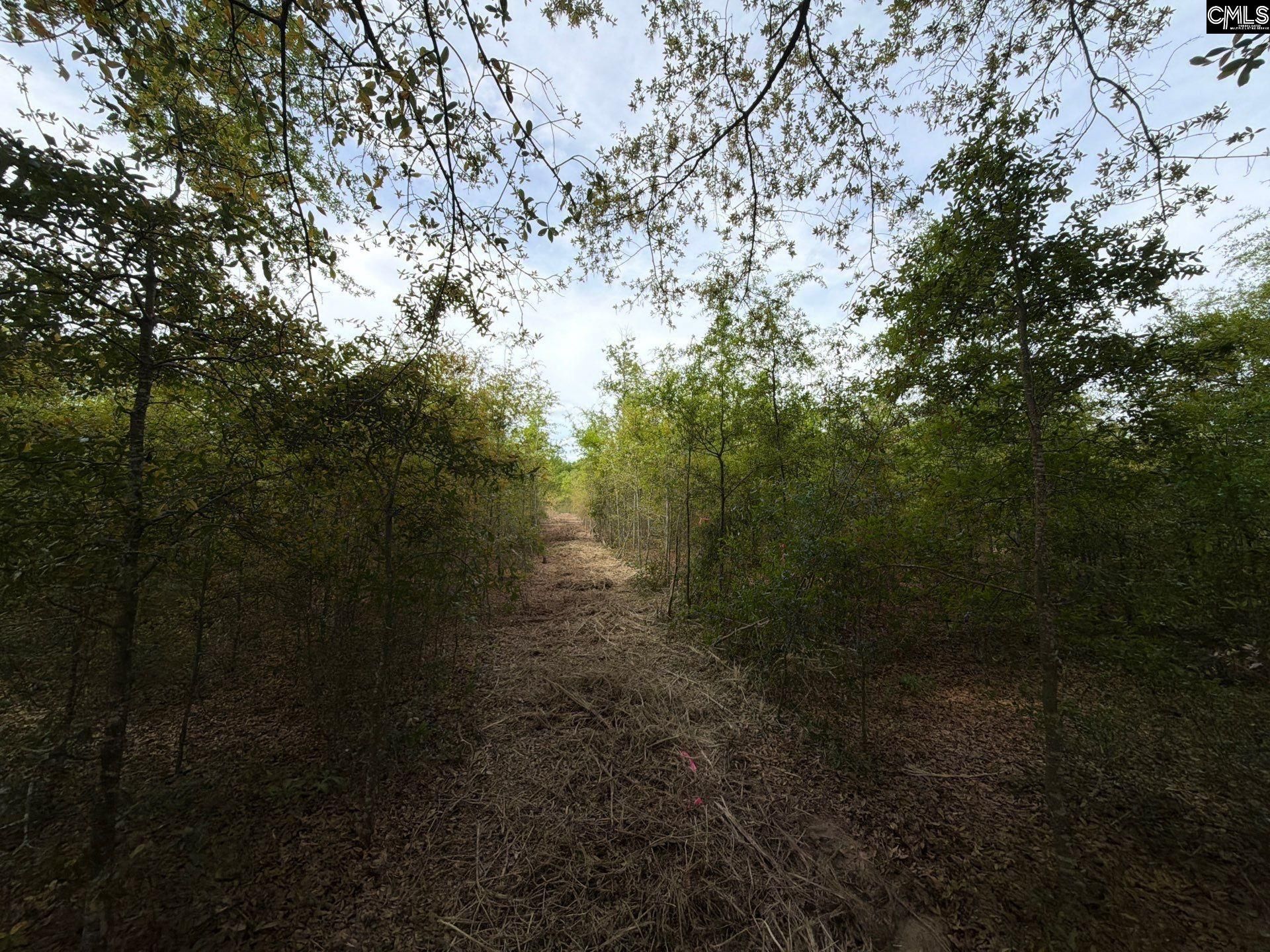 Rrf 6 Rogers Cemetery Road  Photo 28