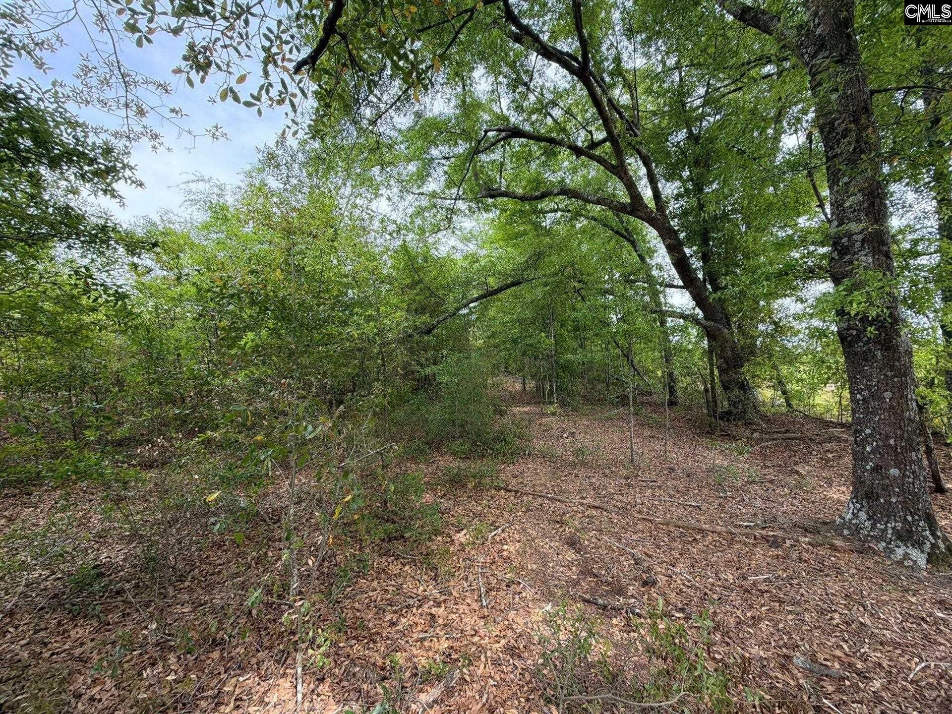 Rrf 6 Rogers Cemetery Road  Photo 29