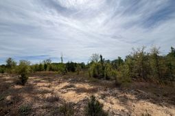 Rrf 6 Rogers Cemetery Road  photo 4