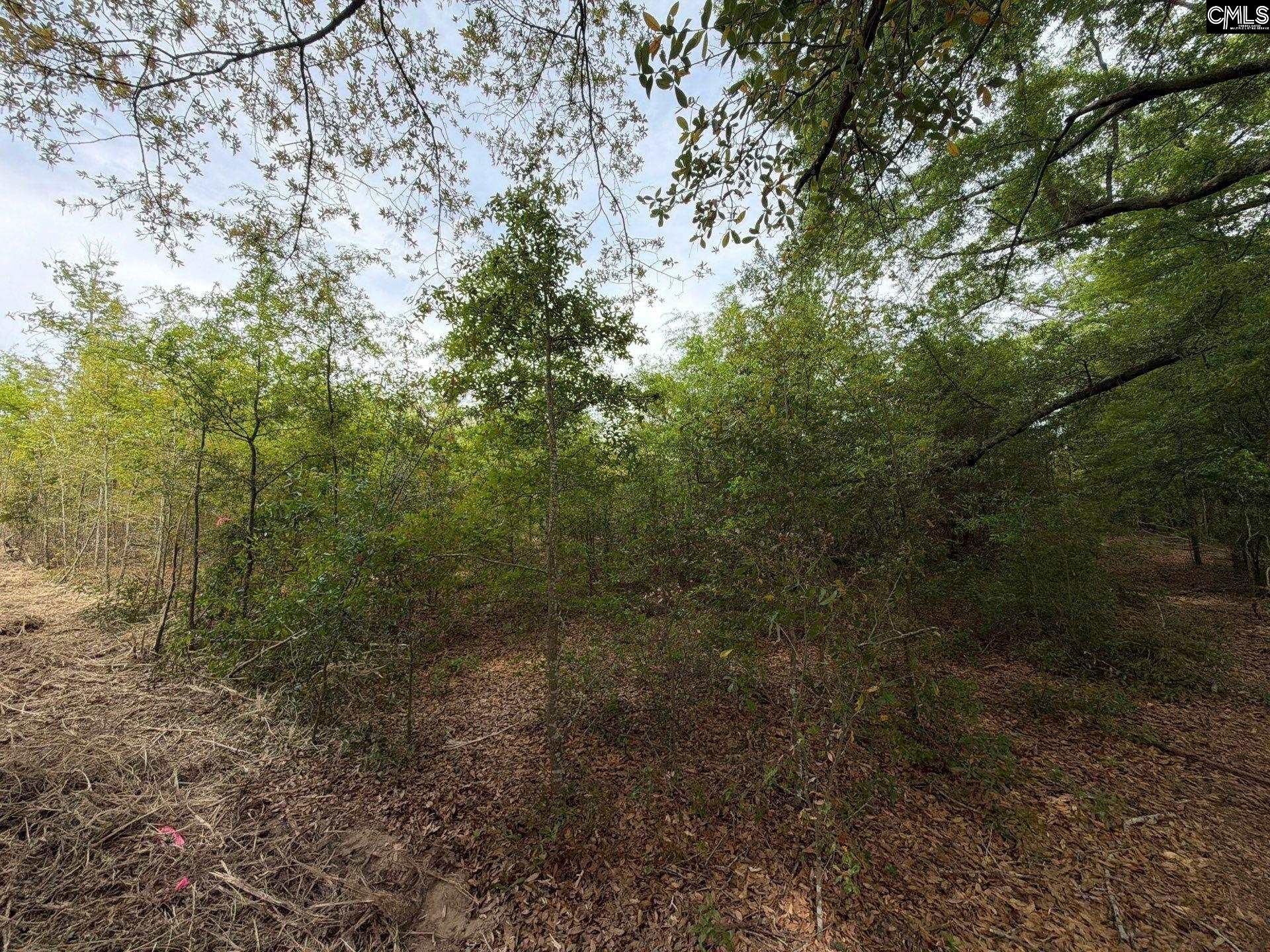 Rrf 6 Rogers Cemetery Road  Photo 30