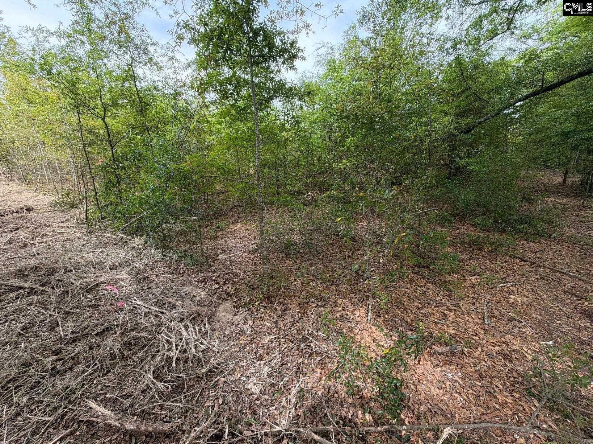 Rrf 6 Rogers Cemetery Road  Photo 31