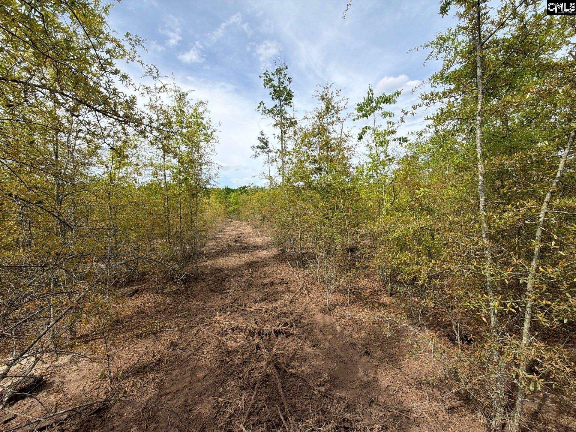 Rrf 6 Rogers Cemetery Road  Photo 32