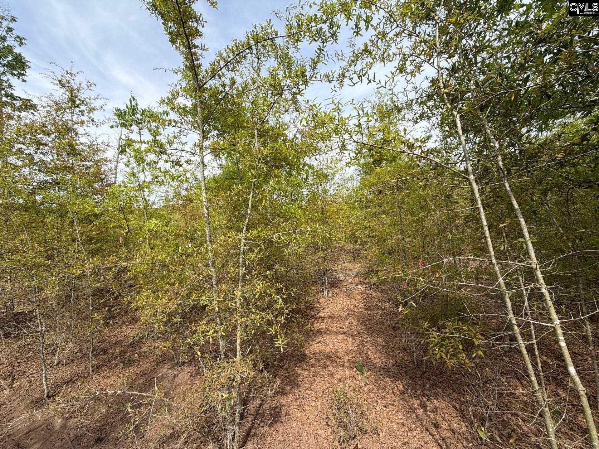 Rrf 6 Rogers Cemetery Road  Photo 33