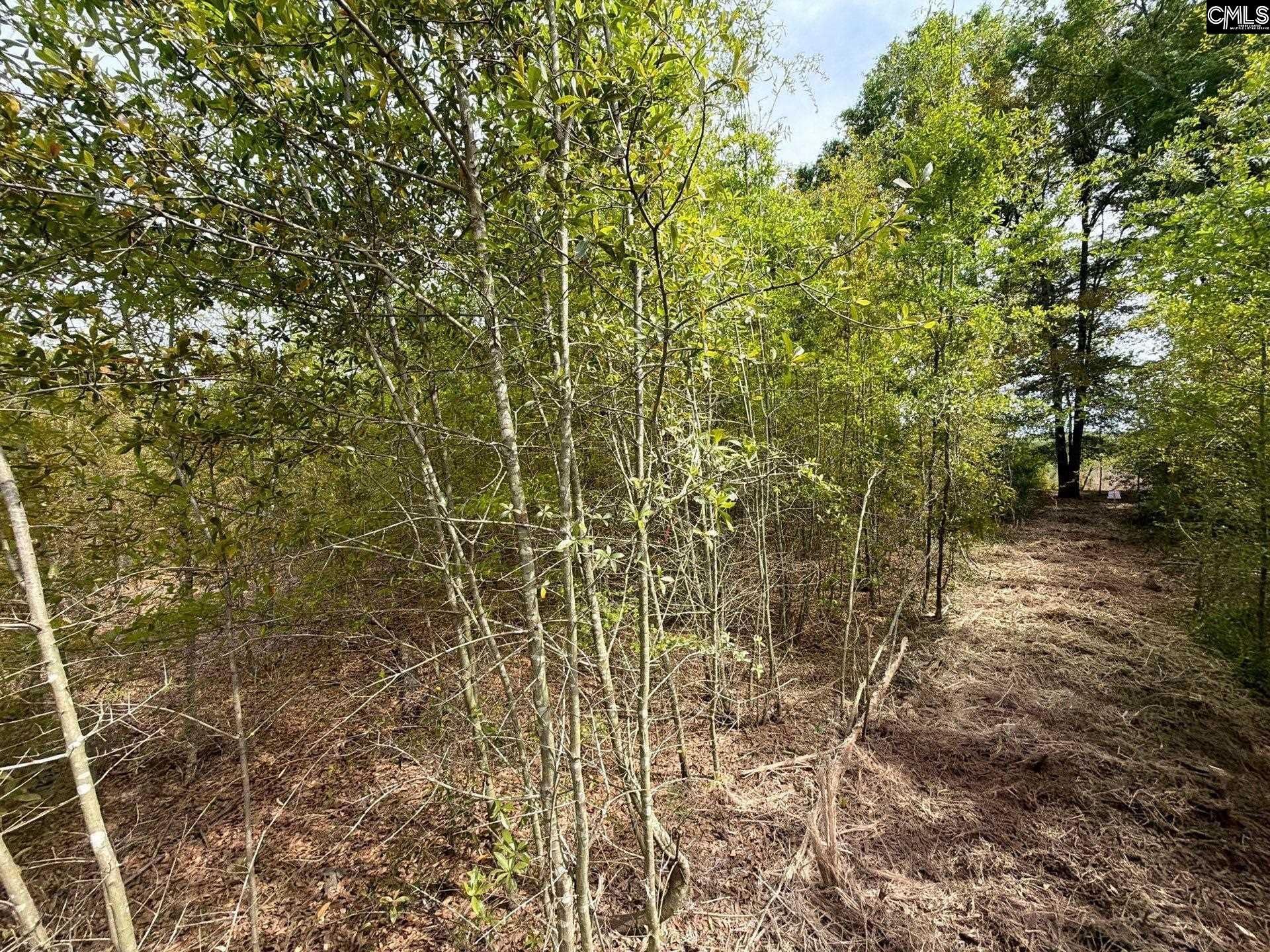 Rrf 6 Rogers Cemetery Road  Photo 34