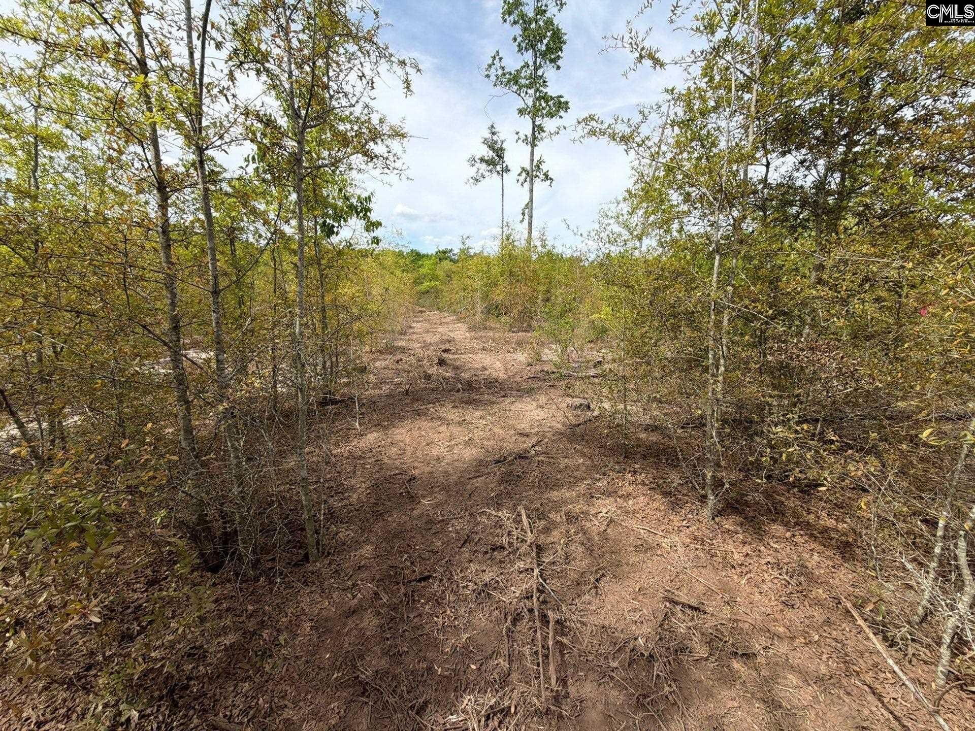 Rrf 6 Rogers Cemetery Road  Photo 35