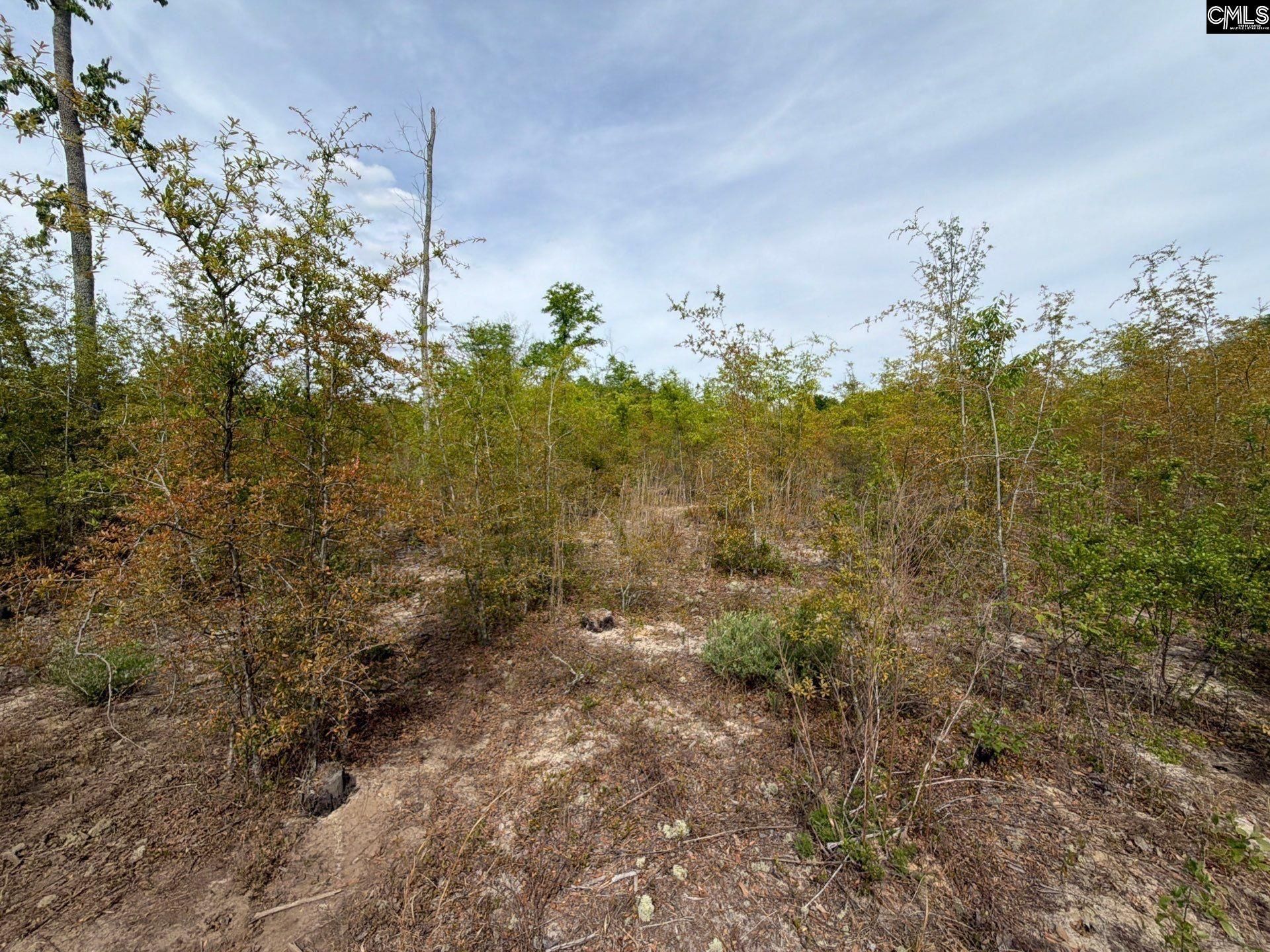 Rrf 6 Rogers Cemetery Road  Photo 36