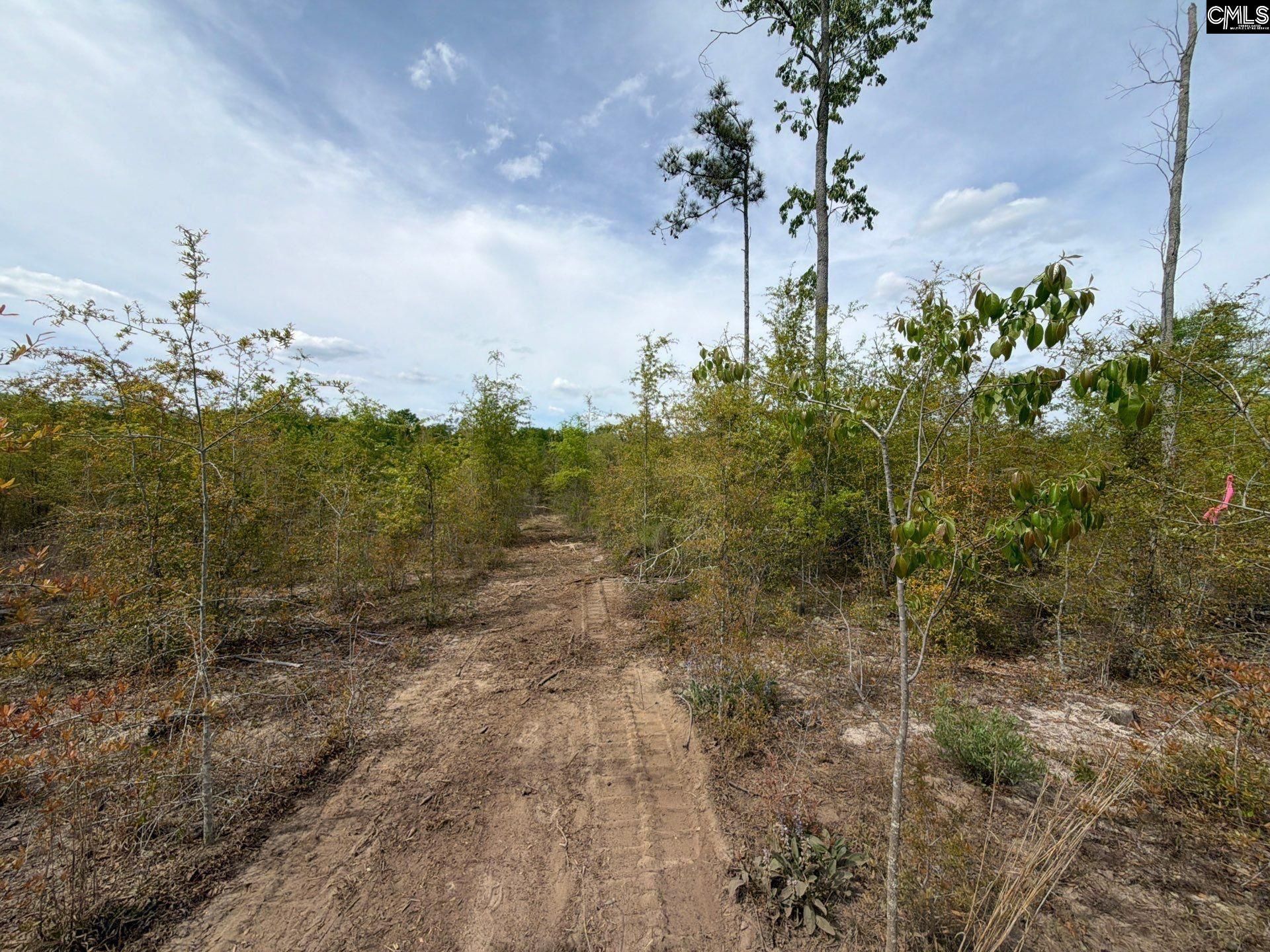 Rrf 6 Rogers Cemetery Road  Photo 37