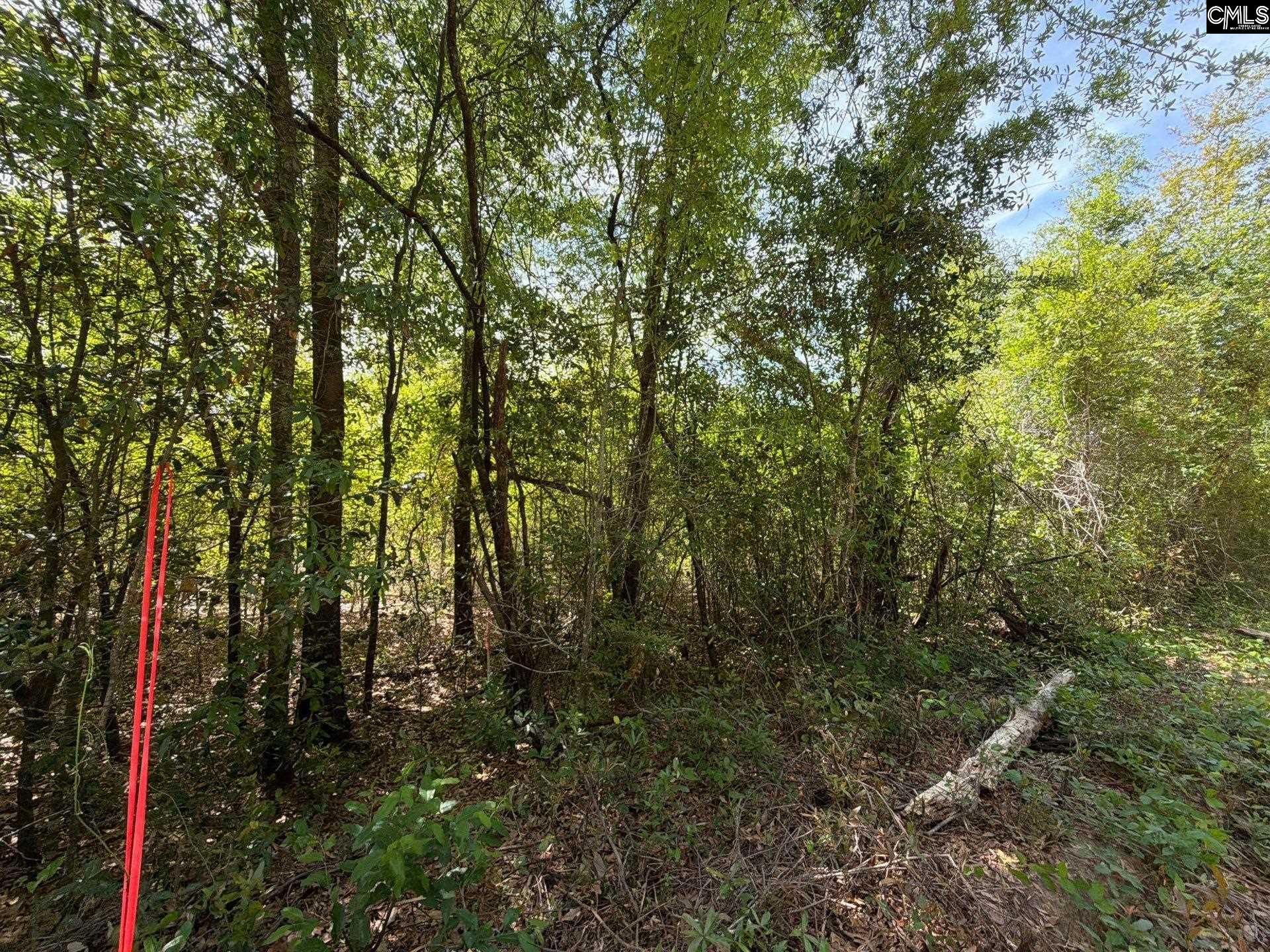 Rrf 6 Rogers Cemetery Road  Photo 7