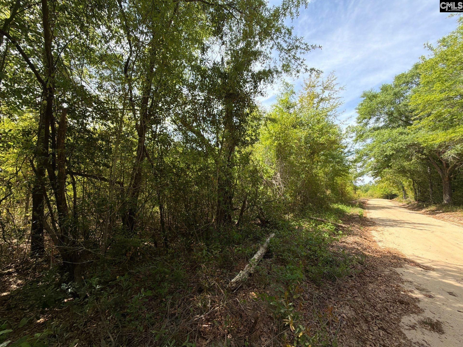 Rrf 6 Rogers Cemetery Road  Photo 8