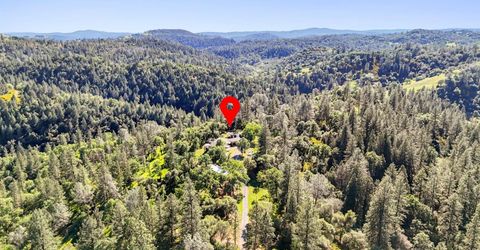 5025 Lafaille Ln, Greenwood, CA 95635 Photo