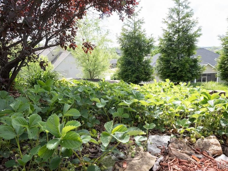 Property Image 62