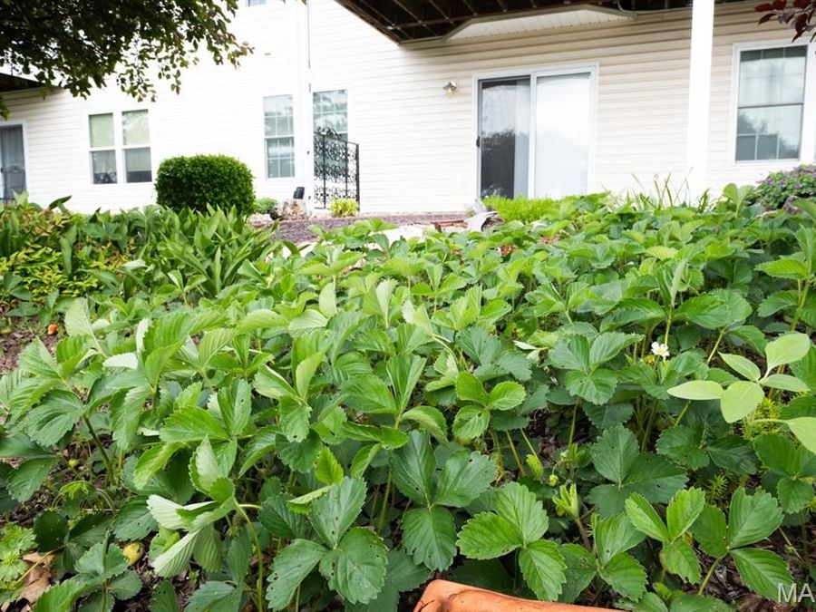 Property Image 68