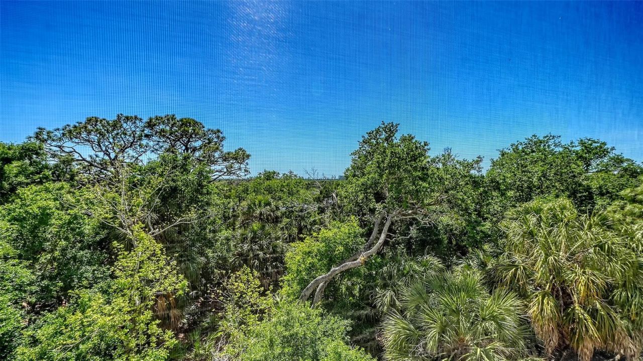 409 North Point Road, Unit 401, Osprey, FL 34229 Photo