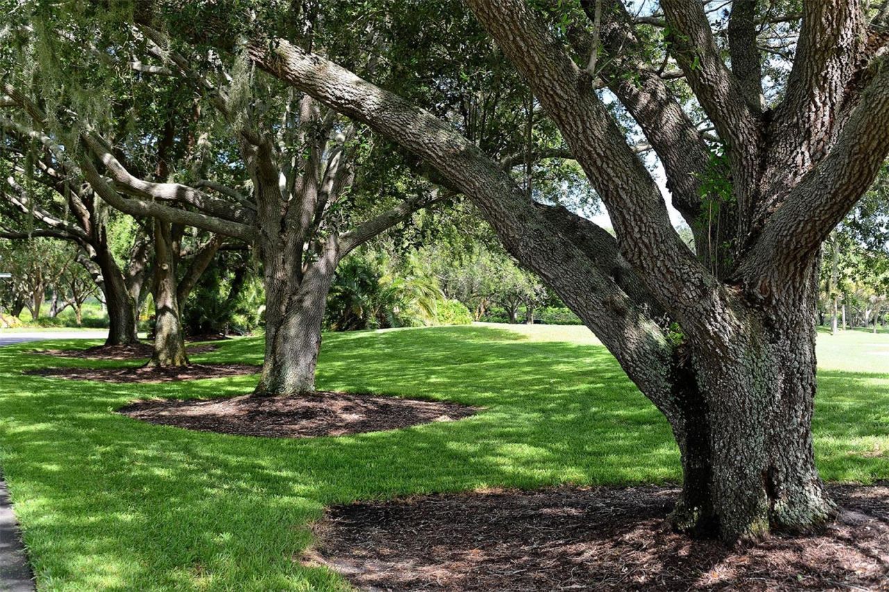 409 North Point Road, Unit 401, Osprey, FL 34229 Photo