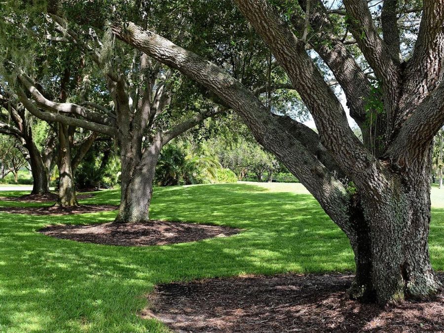 Property Image 88