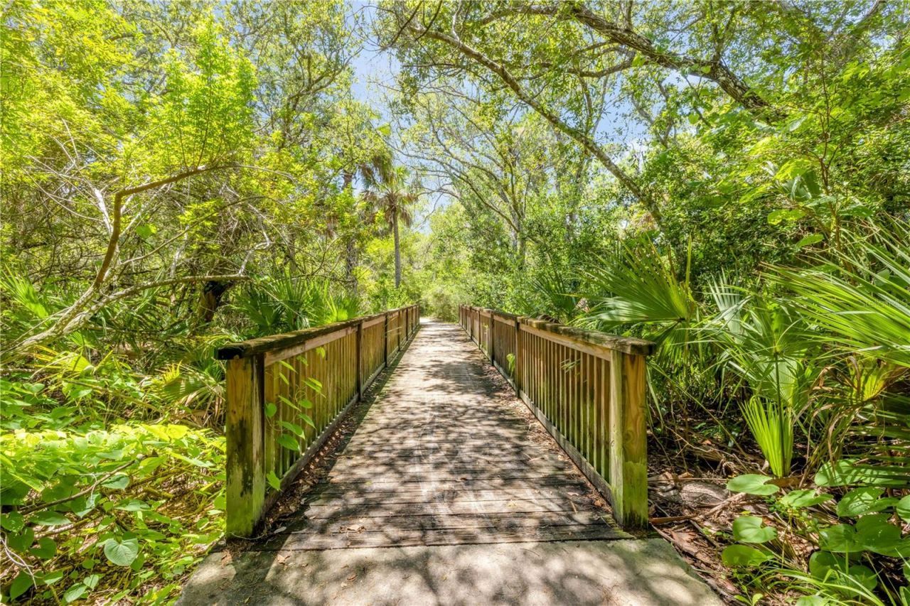3211 Saxon Drive, New Smyrna Beach, FL 32169 Photo