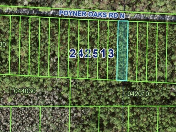 POYNER OAKS ROAD N, POLK CITY, FL 33868