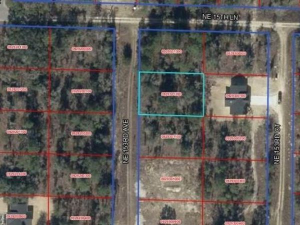 NE 153RD AVENUE , WILLISTON, FL 32696